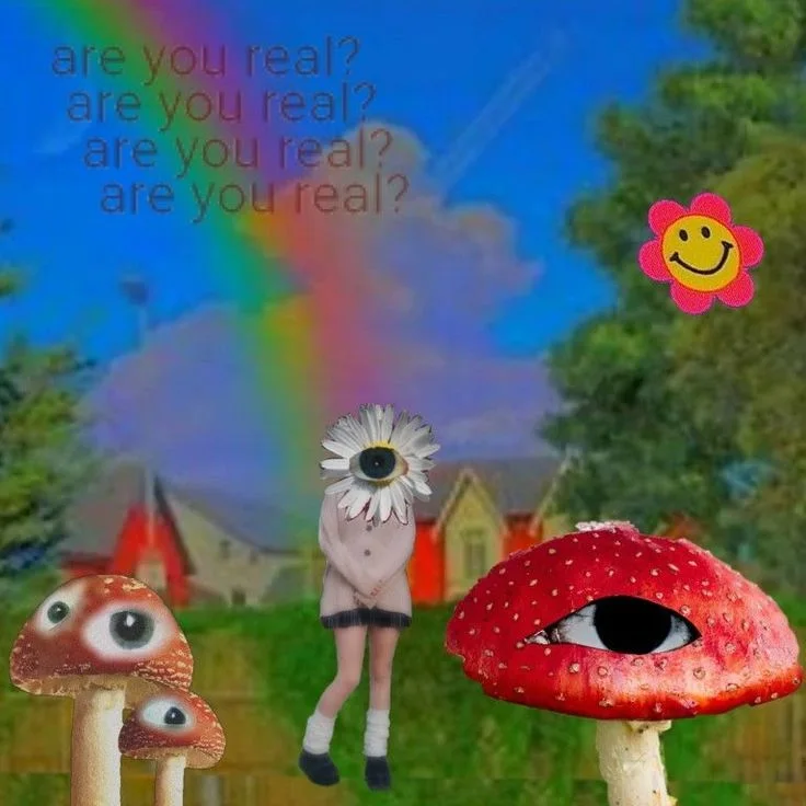 眼睛蘑菇、花头人物与“are you real?”拼贴