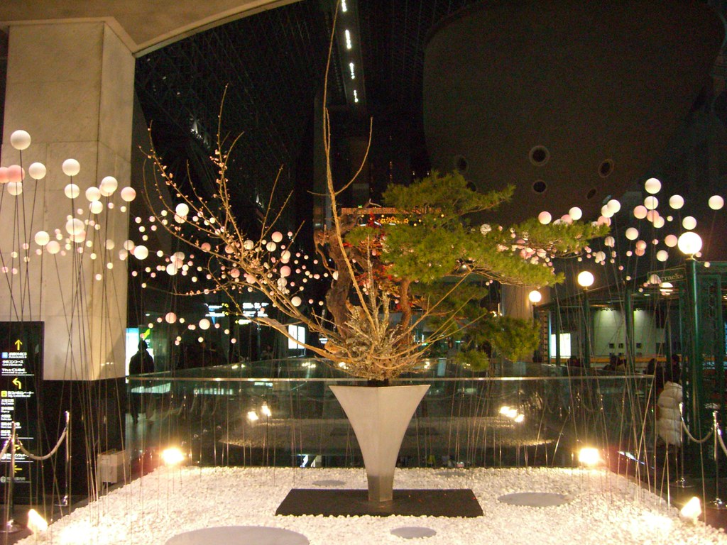 Modern Japanese Flower Arrangement 7, Ikebana: 現代いけばな