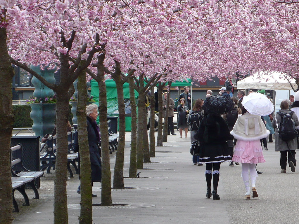 Lolitas