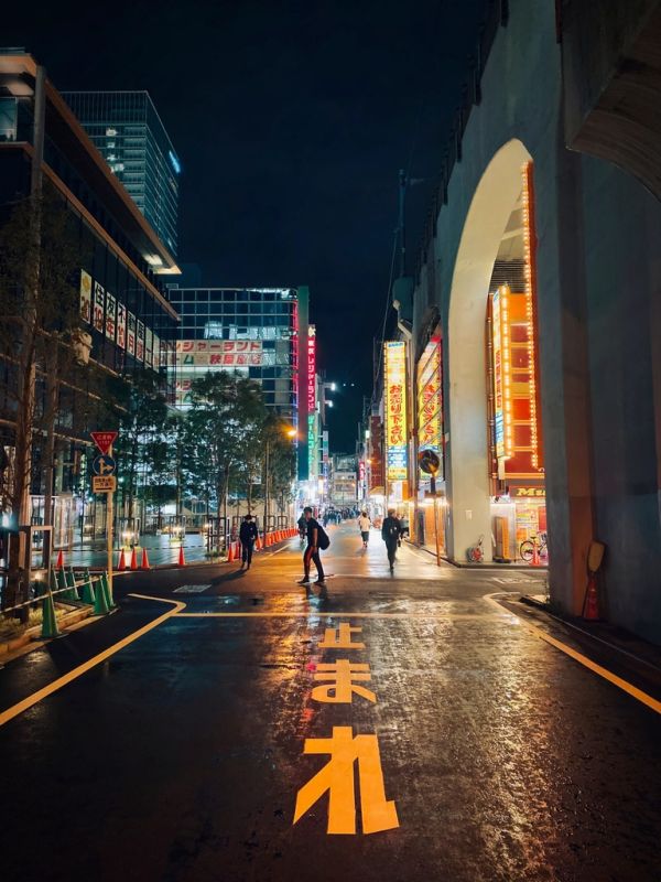 Wet Street Night, Akihabara, Chiyoda