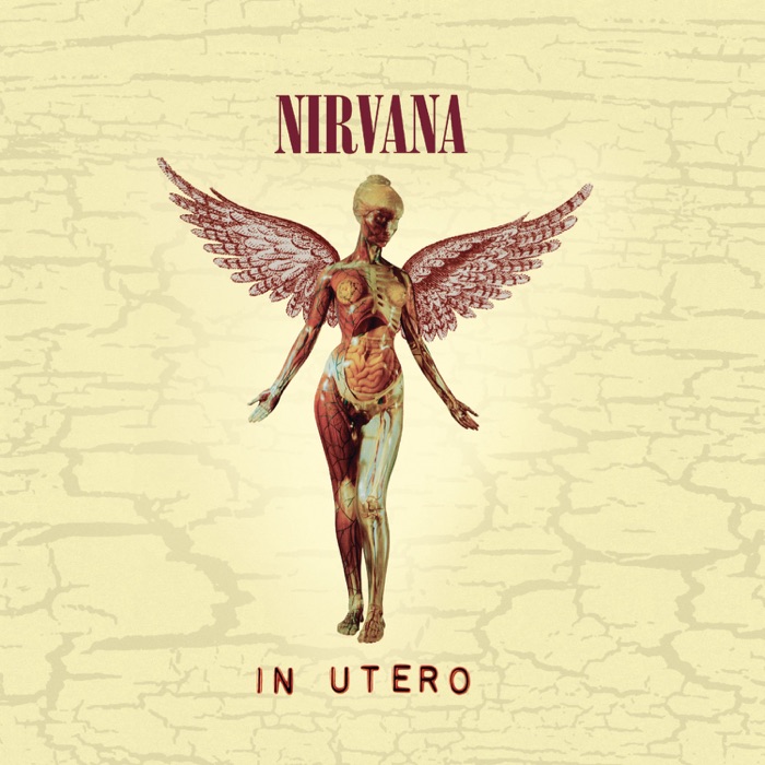 In Utero (20th Anniversary Edition)唱片封面